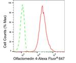 OLFM4 Antibody in Flow Cytometry (Flow)
