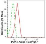 PDX1 Antibody in Flow Cytometry (Flow)