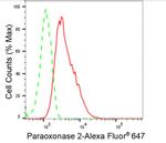 PON2 Antibody in Flow Cytometry (Flow)