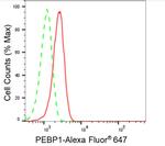 PEBP1 Antibody in Flow Cytometry (Flow)