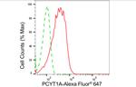 PCYT1A Antibody in Flow Cytometry (Flow)
