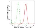 PDPK1 Antibody in Flow Cytometry (Flow)