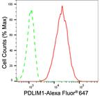PDLIM1 Antibody in Flow Cytometry (Flow)