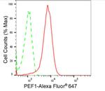 PEF1 Antibody in Flow Cytometry (Flow)