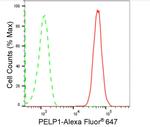 MNAR Antibody in Flow Cytometry (Flow)