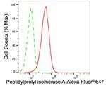Cyclophilin A Antibody in Flow Cytometry (Flow)