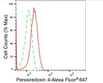 PRDX4 Antibody in Flow Cytometry (Flow)