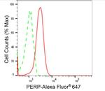 PERP Antibody in Flow Cytometry (Flow)