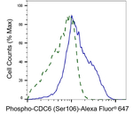 Phospho-Cdc6 (Ser106) Antibody in Flow Cytometry (Flow)