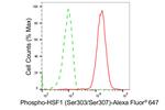Phospho-HSF1 (Ser303, Ser307) Antibody in Flow Cytometry (Flow)