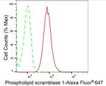 PLSCR1 Antibody in Flow Cytometry (Flow)
