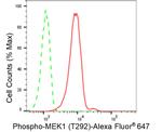 Phospho-MEK1 (Thr292) Antibody in Flow Cytometry (Flow)