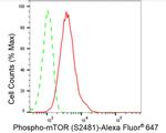 Phospho-mTOR (Ser2481) Antibody in Flow Cytometry (Flow)