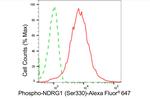 Phospho-NDRG1 (Ser330) Antibody in Flow Cytometry (Flow)