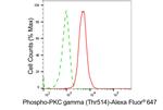 Phospho-PKC gamma (Thr514) Antibody in Flow Cytometry (Flow)