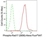Phospho-RAD17 (Ser656) Antibody in Flow Cytometry (Flow)