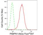 PABPN1 Antibody in Flow Cytometry (Flow)
