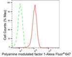 PMF1 Antibody in Flow Cytometry (Flow)