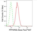PPP2R5E Antibody in Flow Cytometry (Flow)