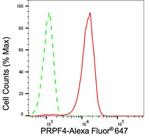 PRPF4 Antibody in Flow Cytometry (Flow)