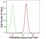 PRKAR2A Antibody in Flow Cytometry (Flow)