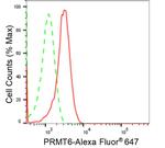 PRMT6 Antibody in Flow Cytometry (Flow)