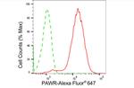 PAR4 Antibody in Flow Cytometry (Flow)