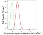 PREPL Antibody in Flow Cytometry (Flow)
