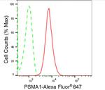 PSMA1 Antibody in Flow Cytometry (Flow)