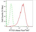 Securin Antibody in Flow Cytometry (Flow)