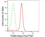 PUM2 Antibody in Flow Cytometry (Flow)