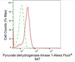 PDK1 Antibody in Flow Cytometry (Flow)