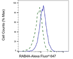 Rab4 Antibody in Flow Cytometry (Flow)