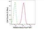 RAB5 Antibody in Flow Cytometry (Flow)