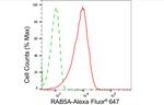 RAB5 Antibody in Flow Cytometry (Flow)
