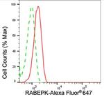 p40 Antibody in Flow Cytometry (Flow)