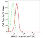 RAD21 Antibody in Flow Cytometry (Flow)