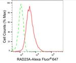 RAD23A Antibody in Flow Cytometry (Flow)
