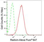 Radixin Antibody in Flow Cytometry (Flow)