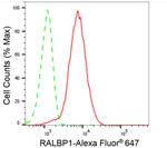 RALBP1 Antibody in Flow Cytometry (Flow)