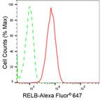 RelB Antibody in Flow Cytometry (Flow)