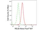 RelB Antibody in Flow Cytometry (Flow)
