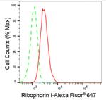 Ribophorin I Antibody in Flow Cytometry (Flow)