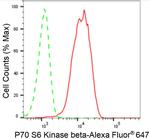 RPS6KB2 Antibody in Flow Cytometry (Flow)