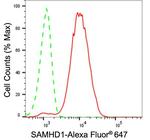 SAMHD1 Antibody in Flow Cytometry (Flow)