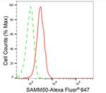 SAMM50 Antibody in Flow Cytometry (Flow)
