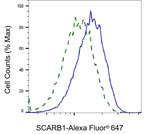 SR-BI Antibody in Flow Cytometry (Flow)