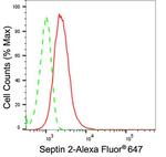 Septin 2 Antibody in Flow Cytometry (Flow)
