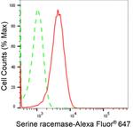 Serine racemase Antibody in Flow Cytometry (Flow)