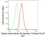 SLC25A12 Antibody in Flow Cytometry (Flow)